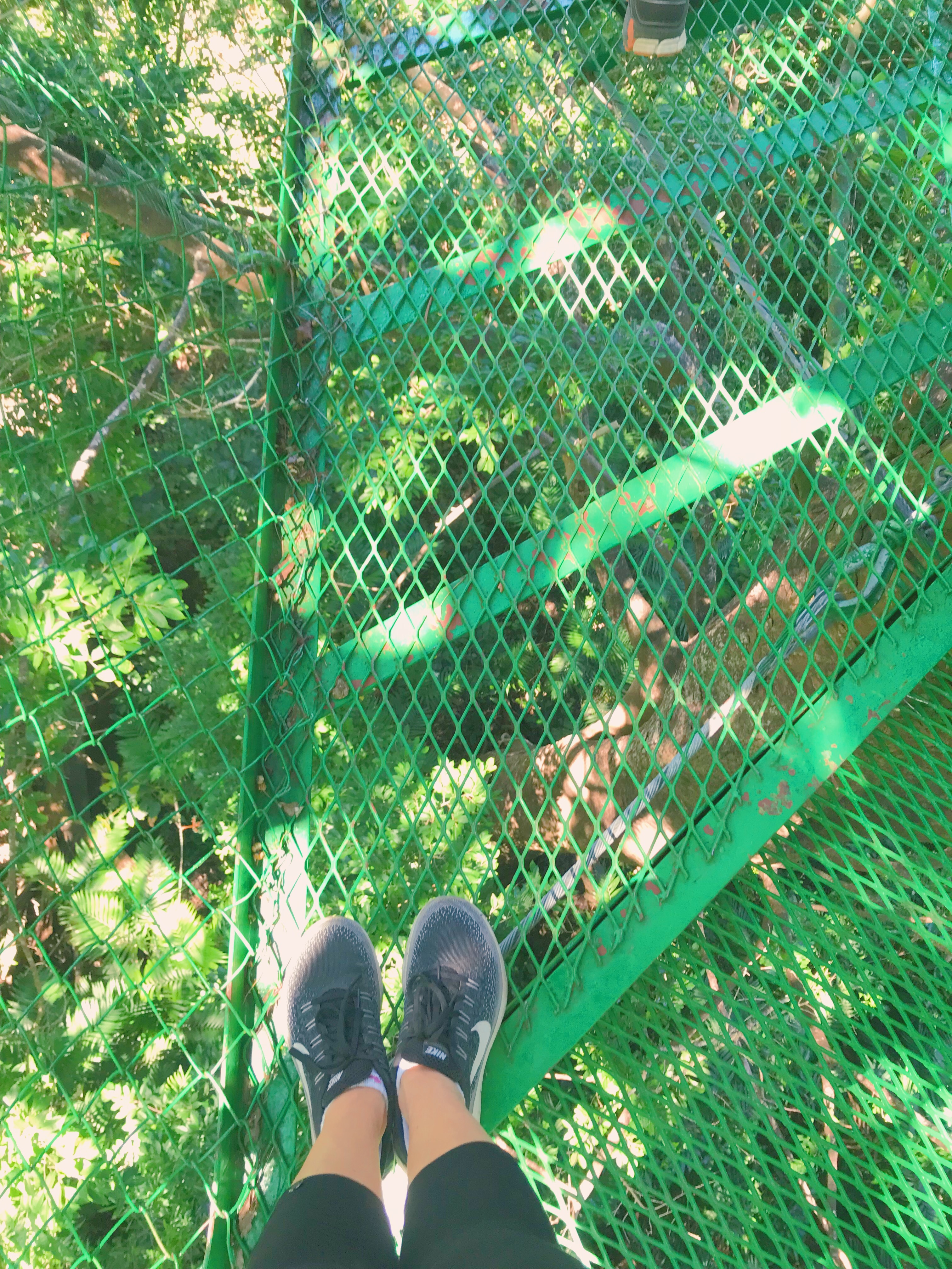 looking down at the ground from the Buena vista hanging bridges