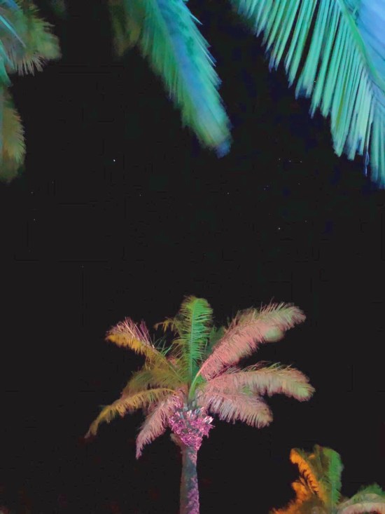 stargazing at jw marriott guanacaste