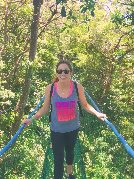 Buena vista tour hanging bridges