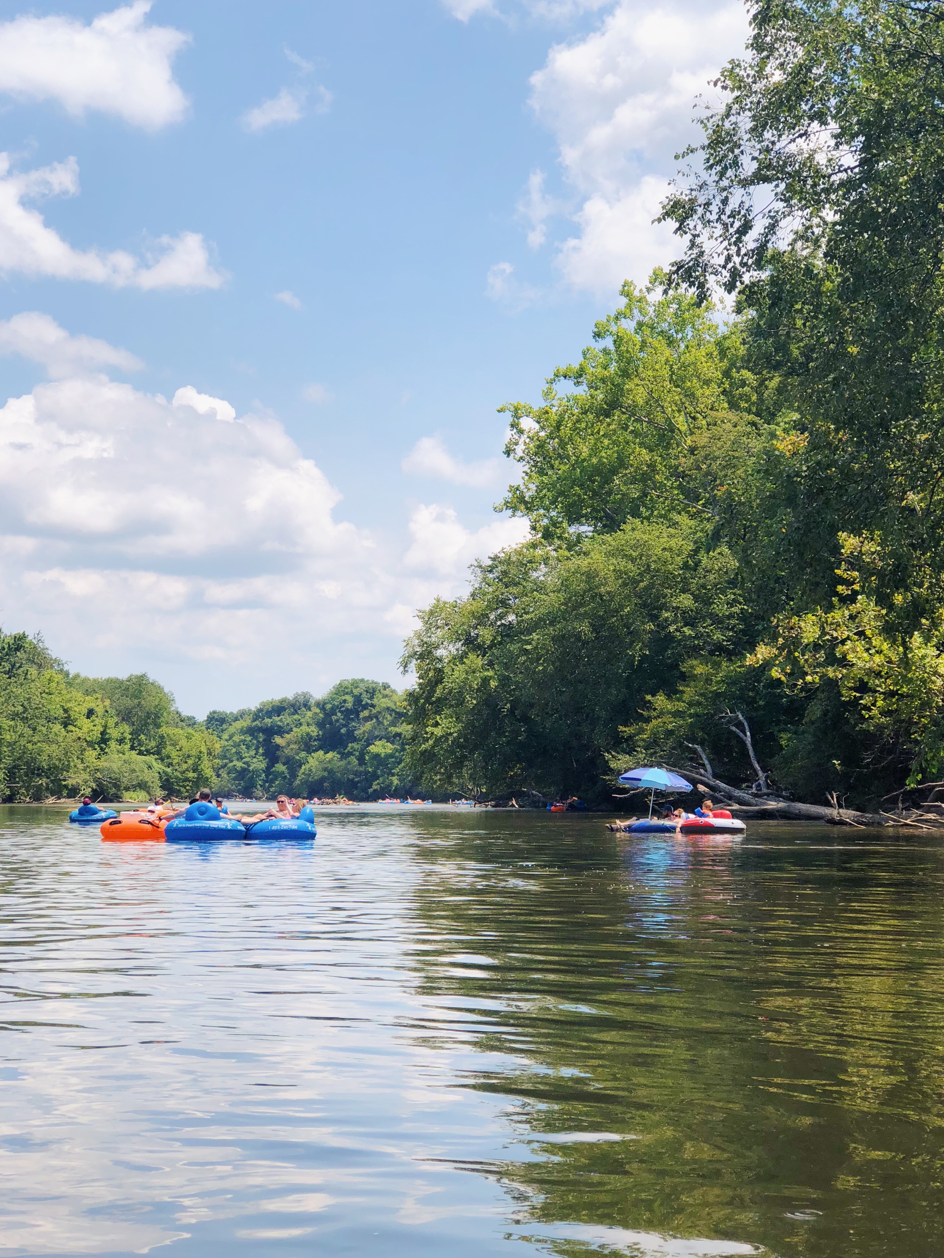 tubing the French Broad River