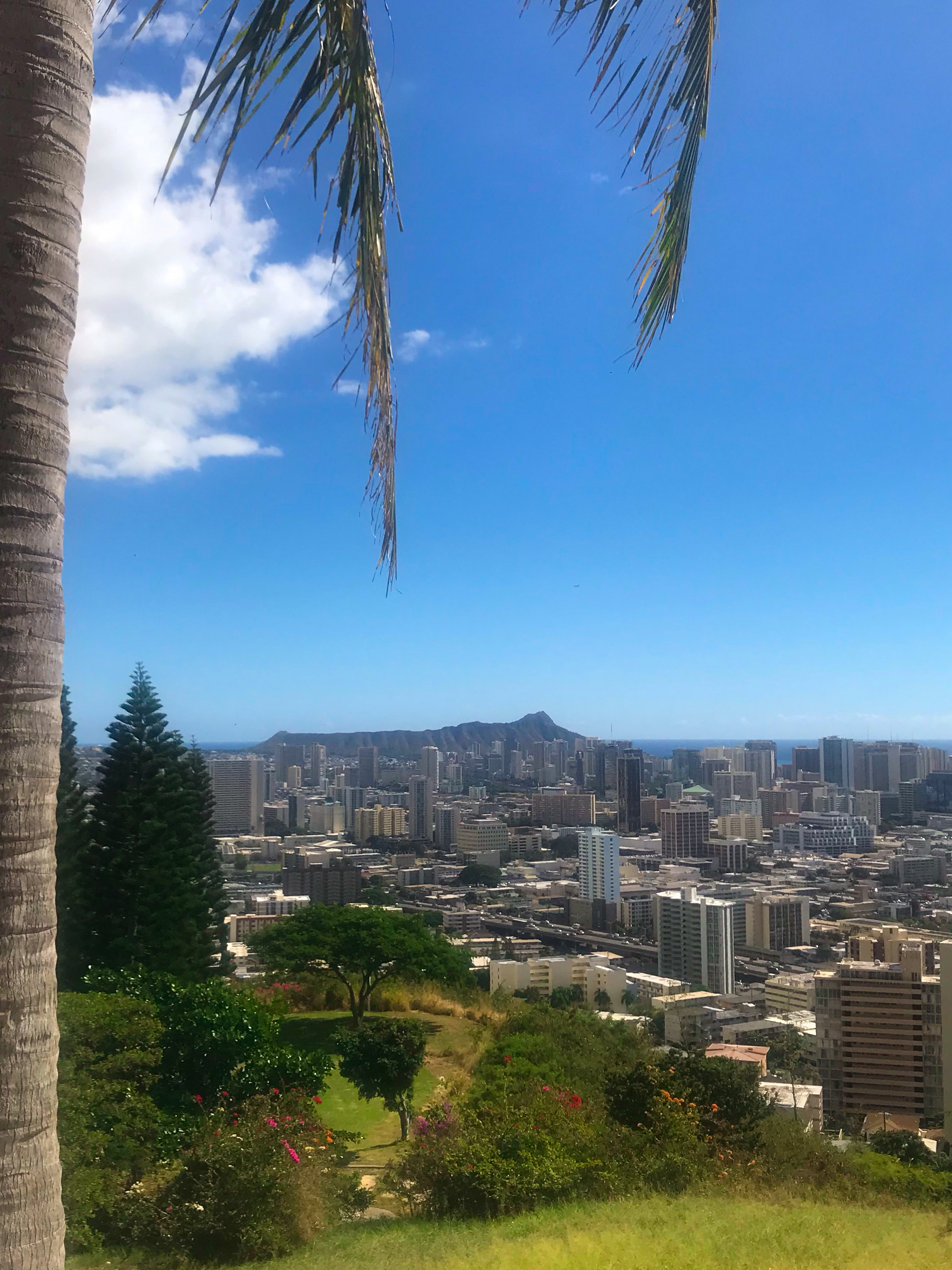 view of diamondhead from the punchbowl