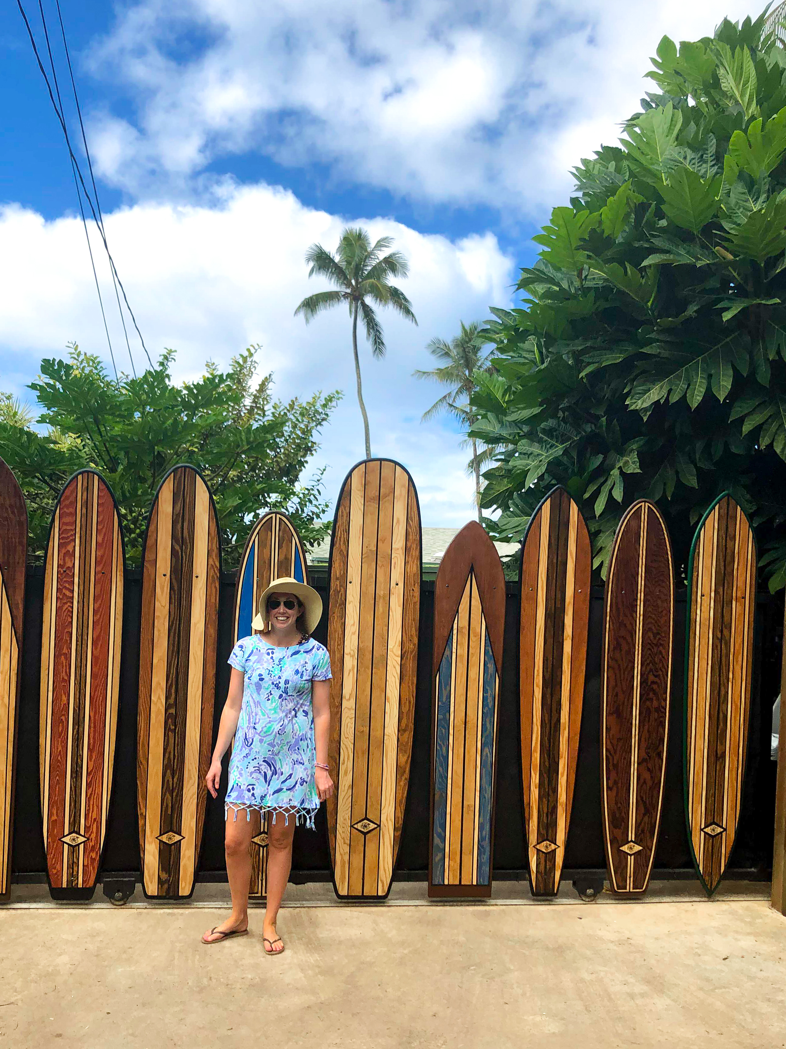 Surfboard Gate North Shore Oahu