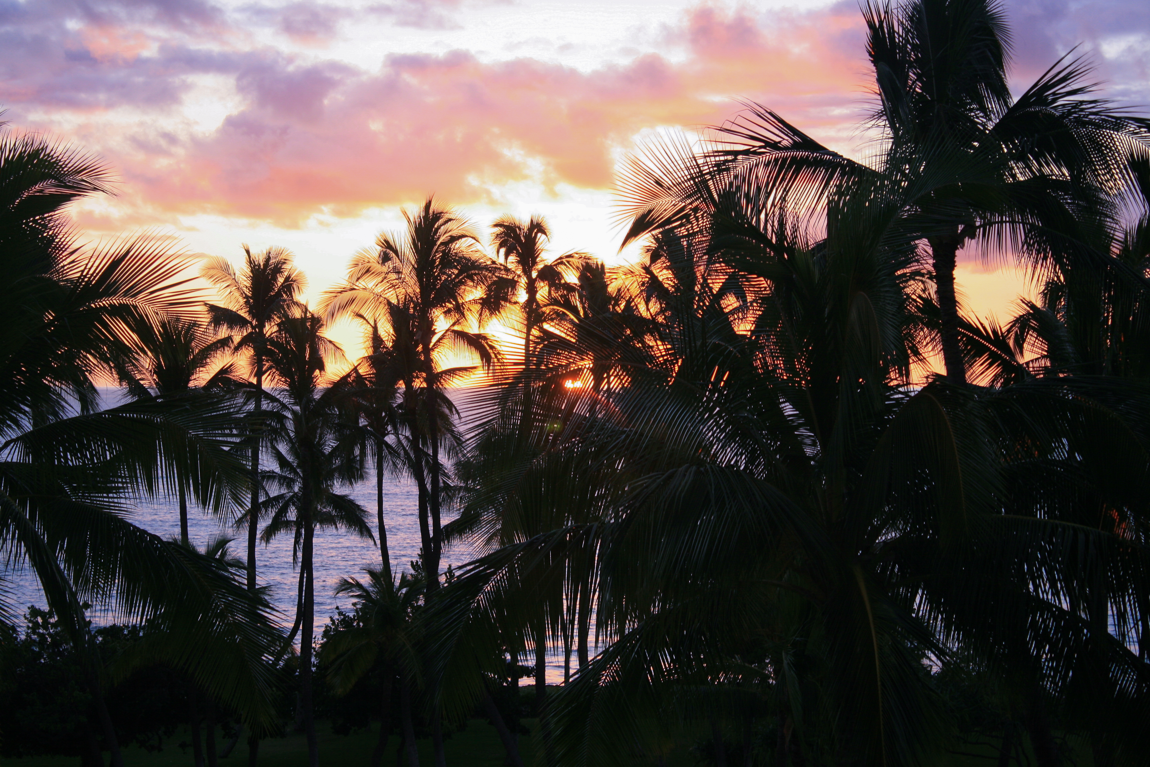 Hawaiian Sunset